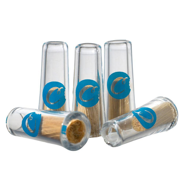 Cookies Cone Heads 5ct Display